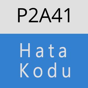 P2A41 hatasi