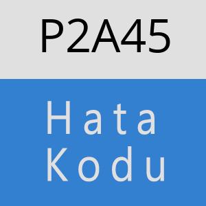 P2A45 hatasi