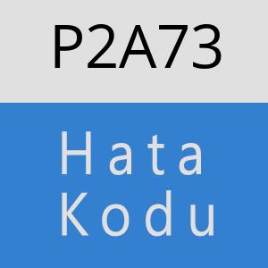 P2A73 hatasi