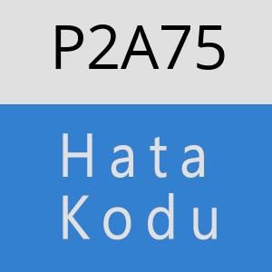 P2A75 hatasi