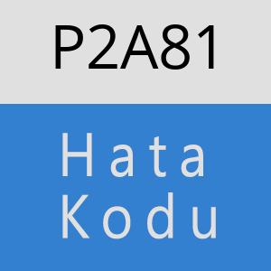 P2A81 hatasi