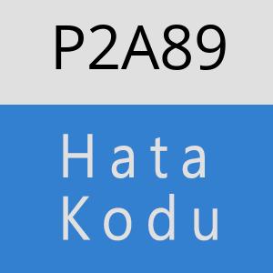 P2A89 hatasi