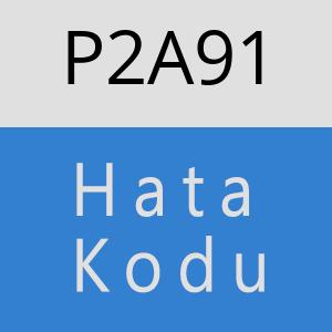 P2A91 hatasi