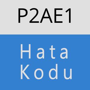 P2AE1 hatasi