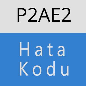 P2AE2 hatasi