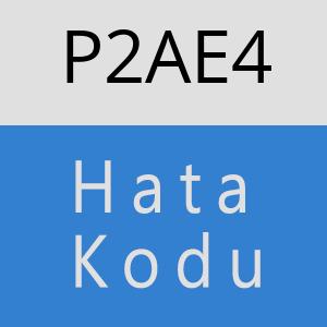 P2AE4 hatasi