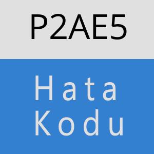 P2AE5 hatasi