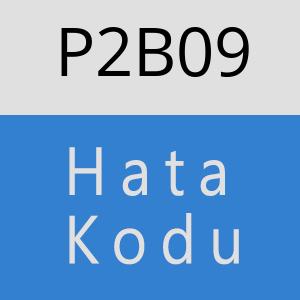 P2B09 hatasi