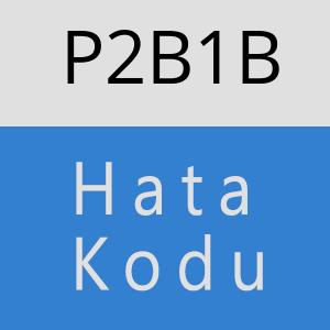 P2B1B hatasi