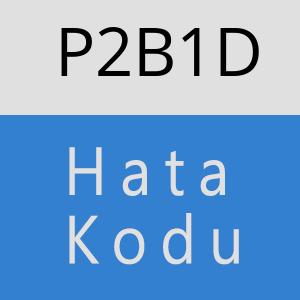 P2B1D hatasi