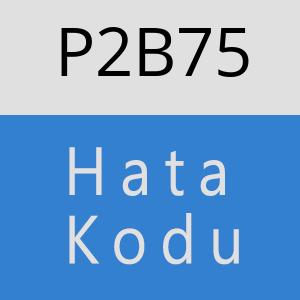 P2B75 hatasi