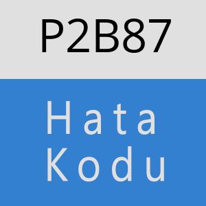 P2B87 hatasi