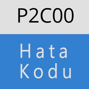 P2C00 hatasi