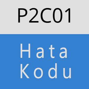 P2C01 hatasi