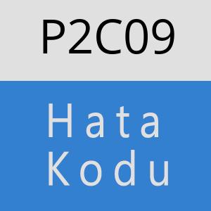 P2C09 hatasi