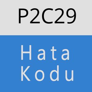 P2C29 hatasi