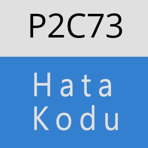 P2C73 hatasi