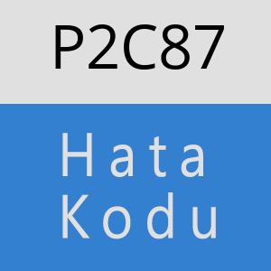 P2C87 hatasi