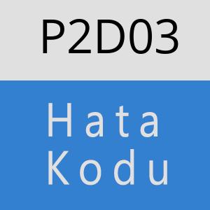 P2D03 hatasi