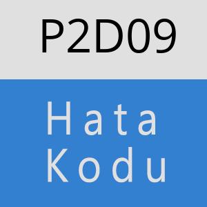 P2D09 hatasi