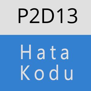 P2D13 hatasi