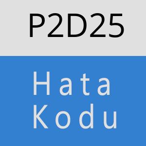 P2D25 hatasi