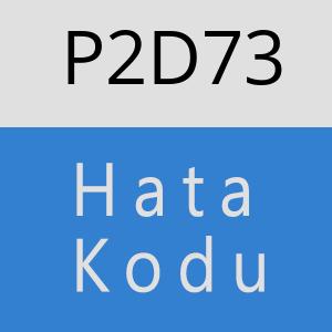 P2D73 hatasi