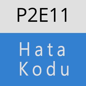 P2E11 hatasi