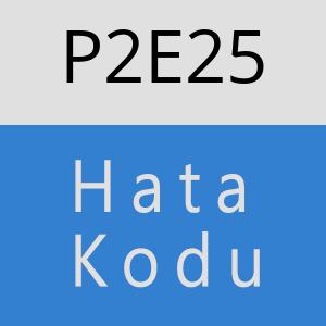 P2E25 hatasi