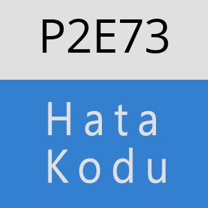 P2E73 hatasi