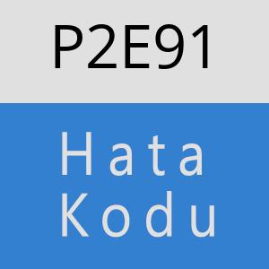 P2E91 hatasi