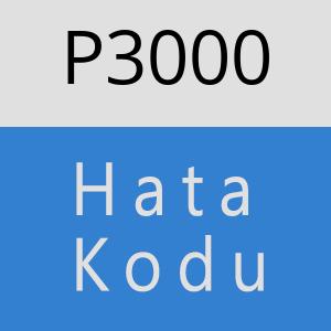 P3000 hatasi