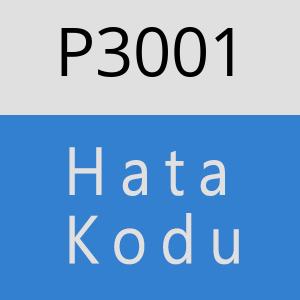 P3001 hatasi