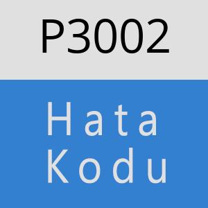 P3002 hatasi