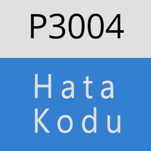 P3004 hatasi