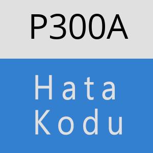 P300A hatasi