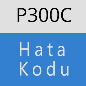 P300C hatasi