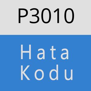 P3010 hatasi