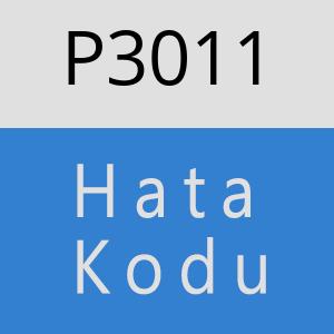 P3011 hatasi