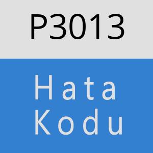 P3013 hatasi