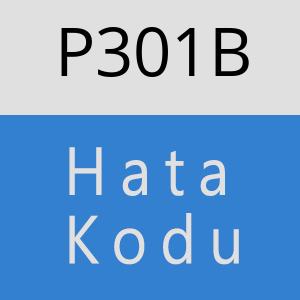 P301B hatasi