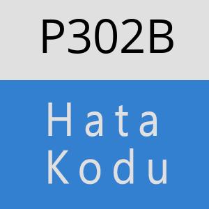 P302B hatasi