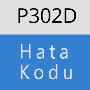 P302D hatasi