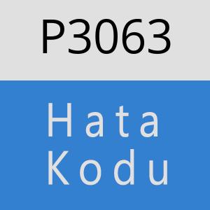 P3063 hatasi