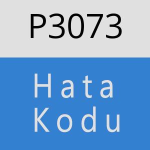 P3073 hatasi