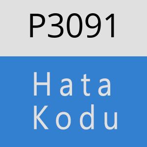 P3091 hatasi
