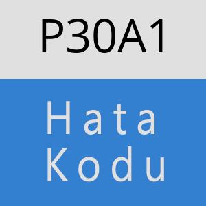 P30A1 hatasi