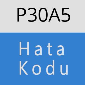 P30A5 hatasi