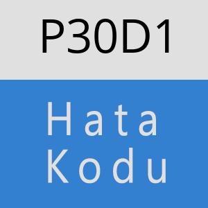 P30D1 hatasi