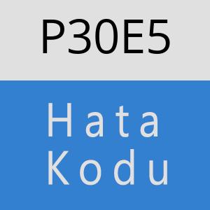 P30E5 hatasi